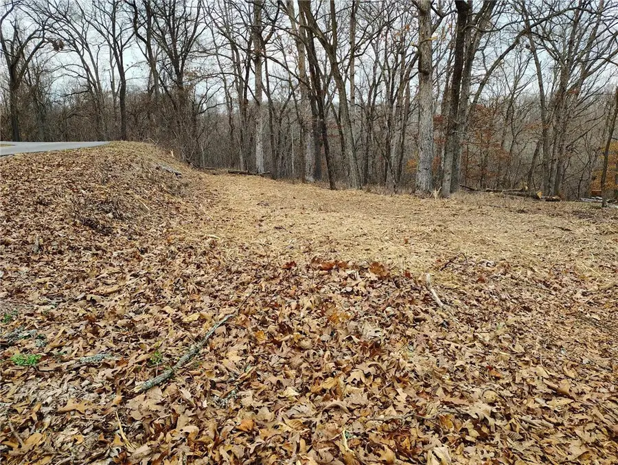 82 Pleasant Ridge Drive #14, Holiday Island, AR 72631 - Image #2