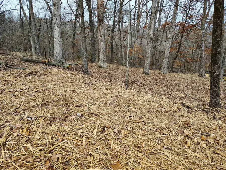 82 Pleasant Ridge Drive #14, Holiday Island, AR 72631 - Image #3