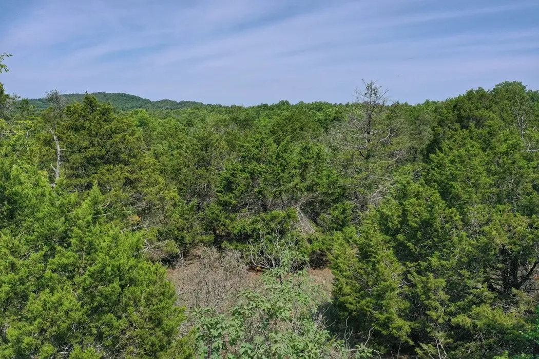 Mc 8001, Flippin, AR 72634 - #1