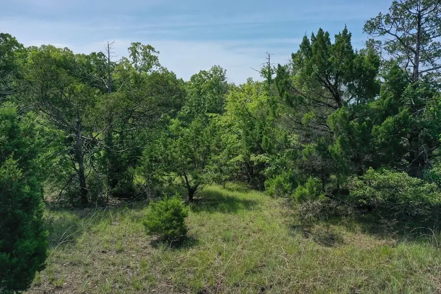 Mc 8001, Flippin, AR 72634 - #2