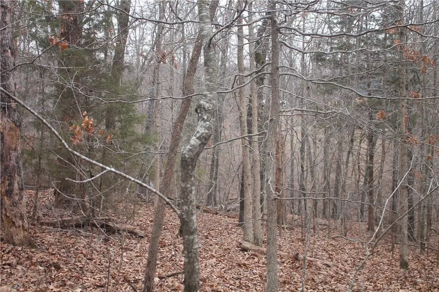 TBD Dunsford Drive, Bella Vista, AR 72715 - #3