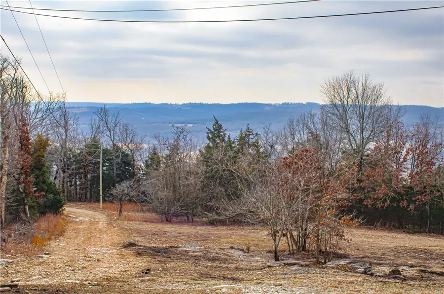 259 Mc 3062, Yellville, AR 72687 - Image #3