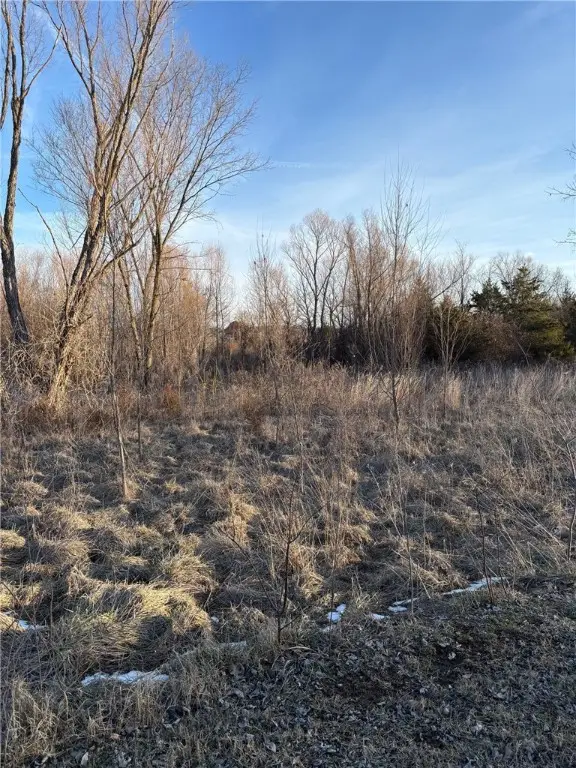 TBD Lot 3 Redbud Street, Green Forest, AR 72638 - Image #2