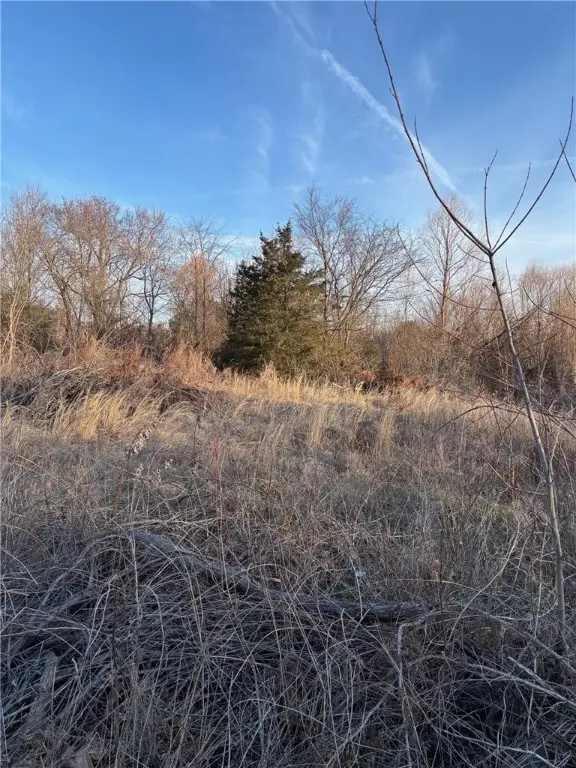 TBD Lot 6 Redbud Street, Green Forest, AR 72638 - Image #3