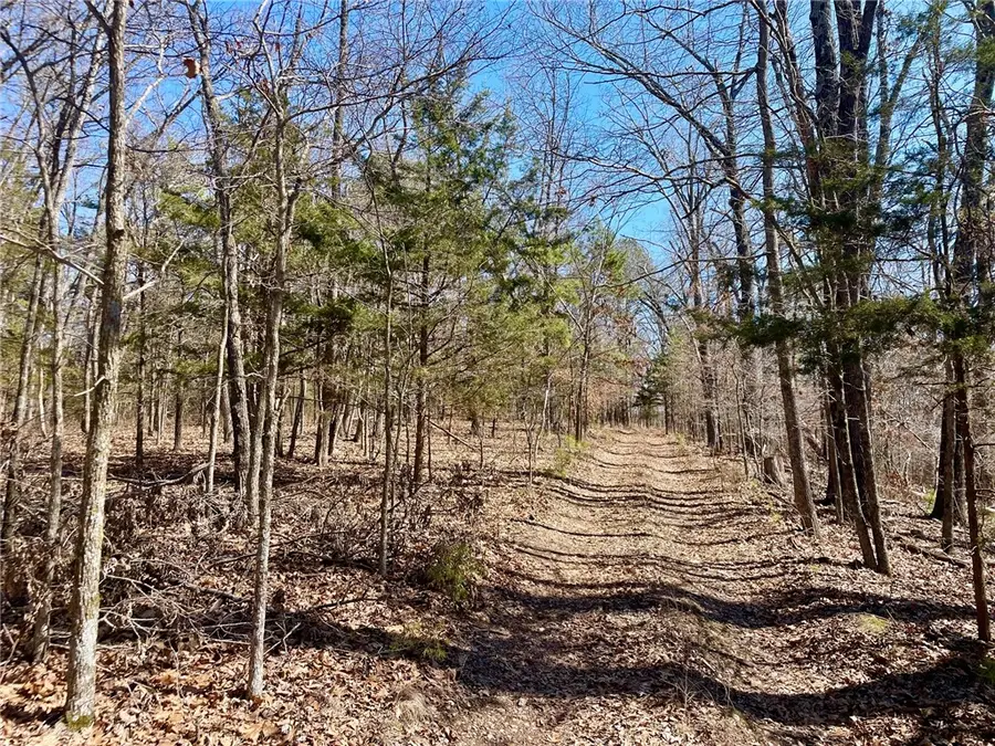 Cr 1485, Eureka Springs, AR 72632 - Image #3