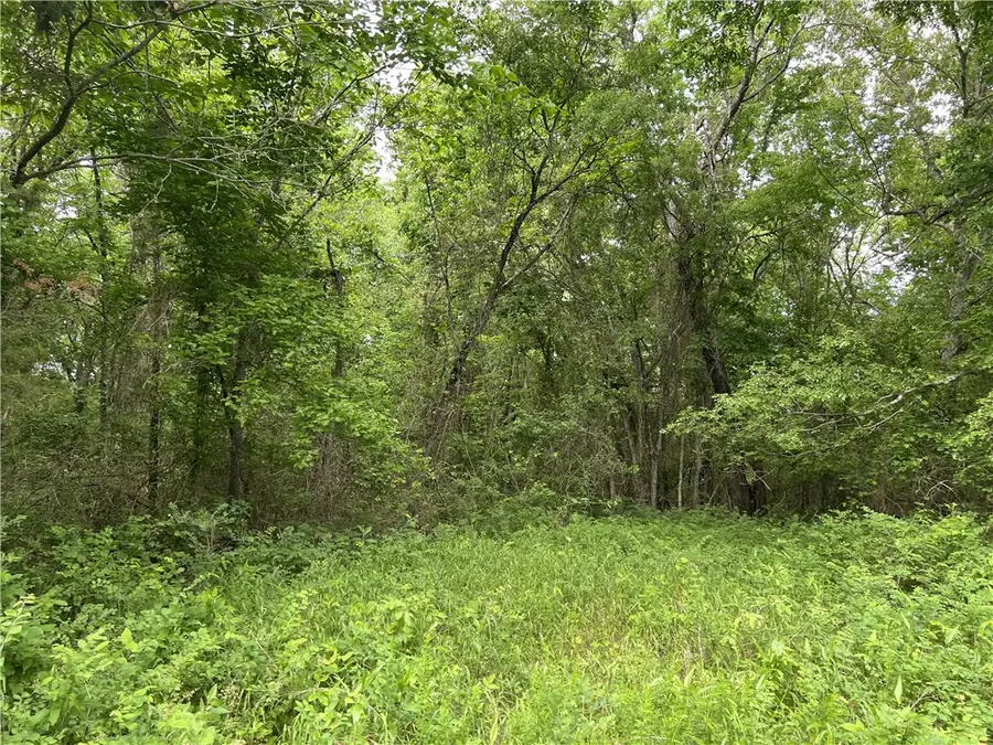 Tract X On Meadow Creek Drive, Harrison, AR 72601 - Image #3