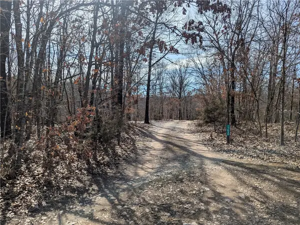 Bill Billings Road, Garfield, AR 72732