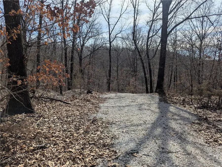 Bill Billings Road, Garfield, AR 72732 - Image #2