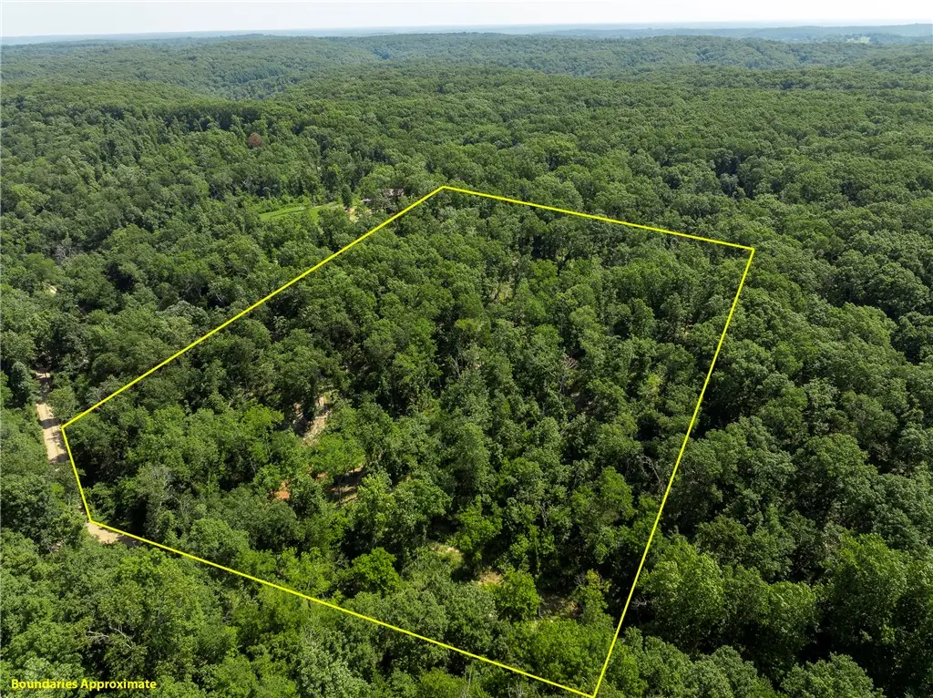 TBD Granny's Branch Road, Pineville, MO 64856 - Image #1