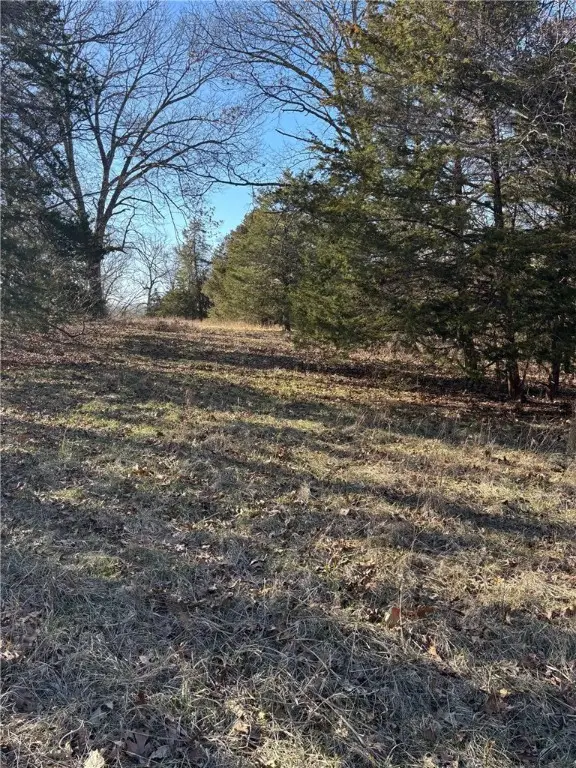 22AC Gann Ridge Road, Garfield, AR 72732 - Image #2