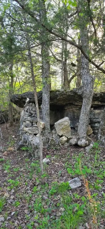 13258 Dubuque Road, Omaha, AR 72662 - Image #3