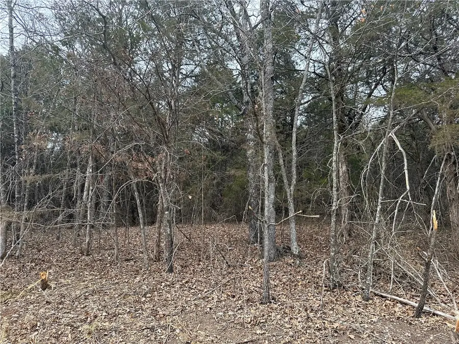 Lot 8 Blackfoot Lane, Holiday Island, AR 72631 - Image #2