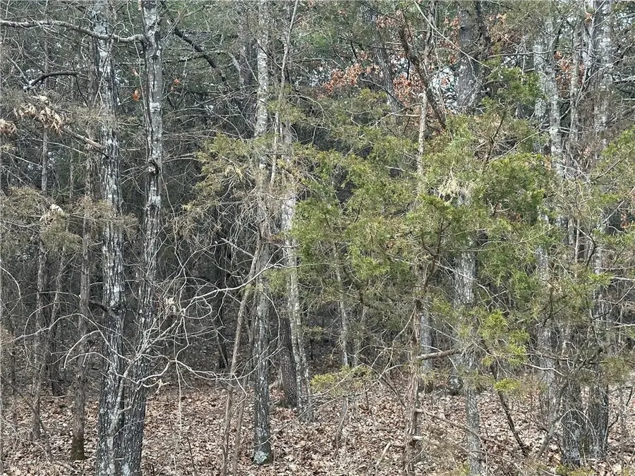 Lot 8 Blackfoot Lane, Holiday Island, AR 72631 - Image #3