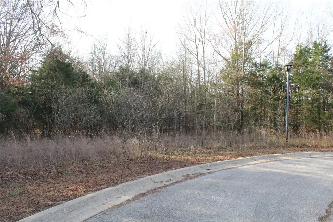 761-00013-000 Falltime Drive, Bull Shoals, AR 72619 - #1