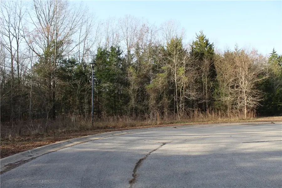 761-00013-000 Falltime Drive, Bull Shoals, AR 72619 - #2