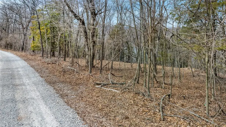 Lot 38 Co Rd 1520, Eureka Springs, AR 72632 - Image #3
