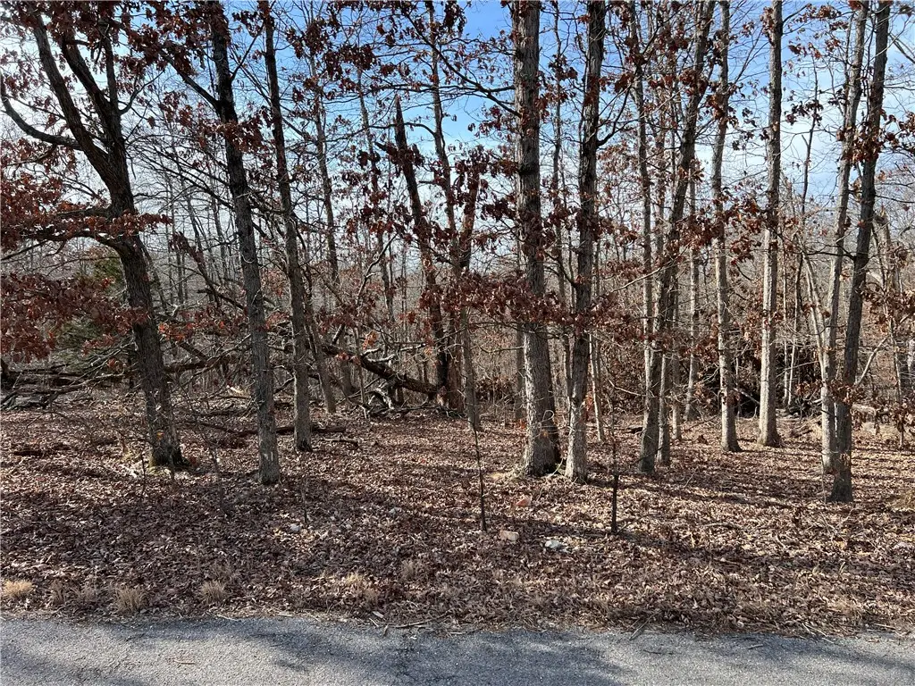 Fields Lane, Bella Vista, AR 72715 - #1