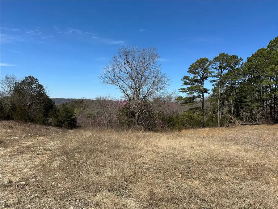 Lot 3 Deer Meadows Lane, Yellville, AR 72687 - #2