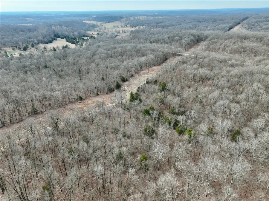 TBD Raven Road, Granby, MO 64844 - Image #3