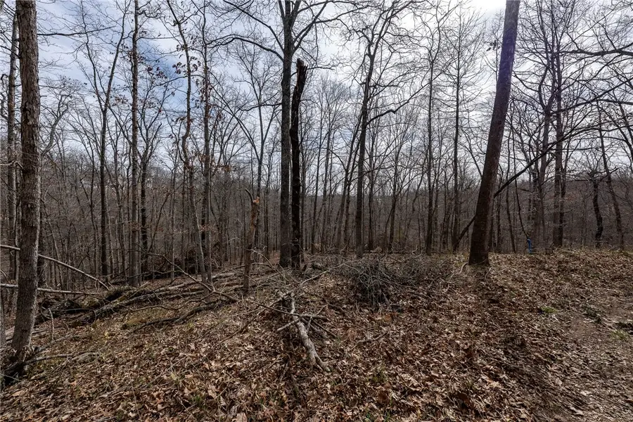 Lot 26, Block 2 Henrietta Lane, Bella Vista, AR 72715 - #3