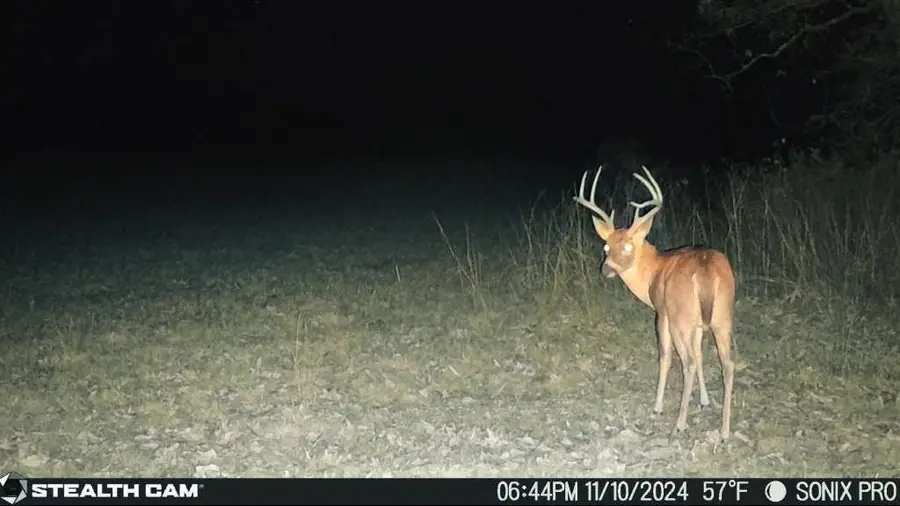 12663 Nicewarner Road, Lincoln, AR 72744 - Image #3