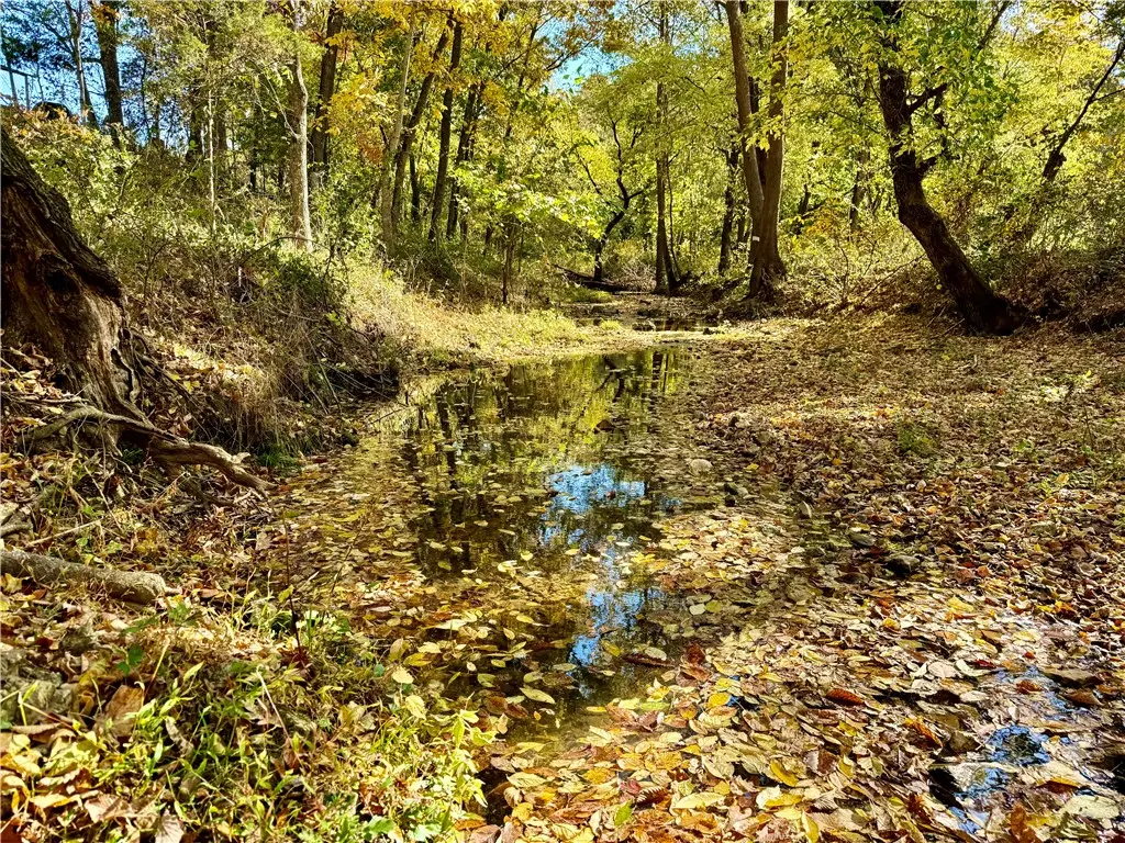 TBD Nicewarner Road, Lincoln, AR 72744 - Image #1