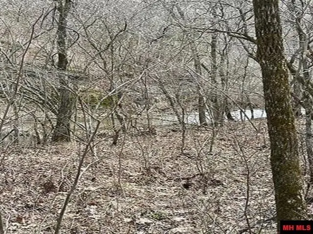 Jimmy Creek Trail, Yellville, AR 72687 - #2