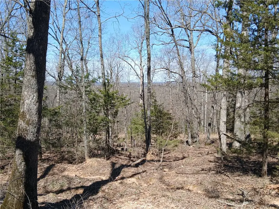 TBD Madison 2149- Lot #3, Huntsville, AR 72740 - Image #2