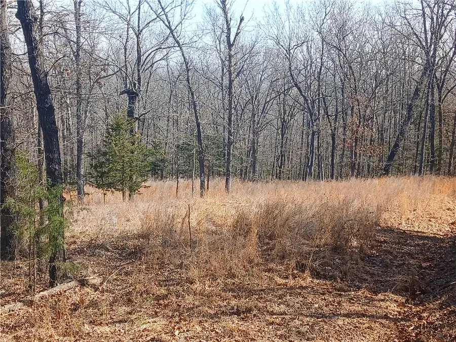 TBD Madison 2149- Lot #3, Huntsville, AR 72740 - Image #3