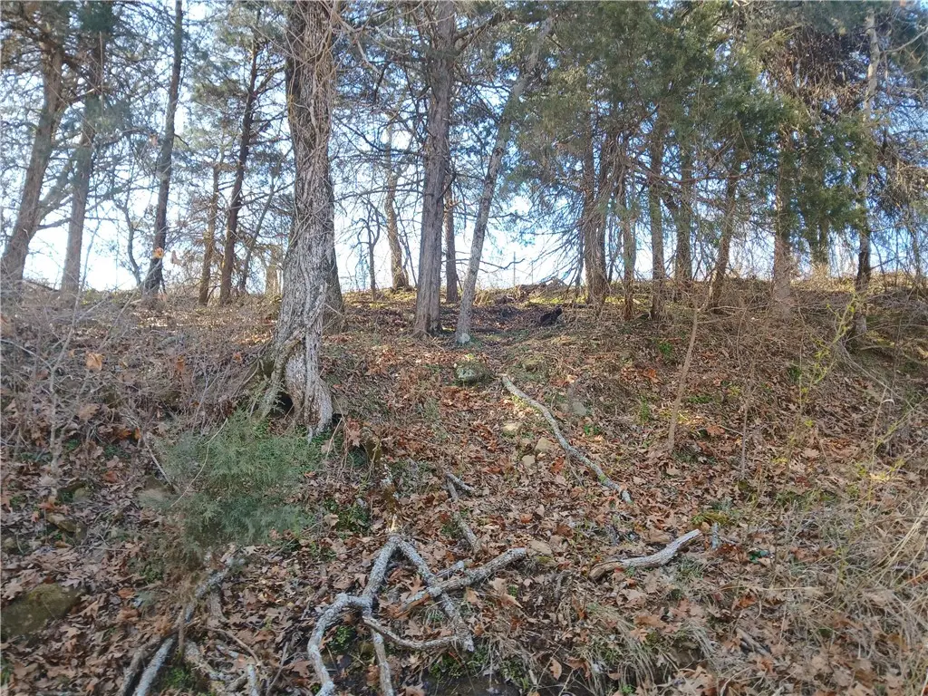 TBD Madison 2149 Lot #4, Huntsville, AR 72740 - Image #1