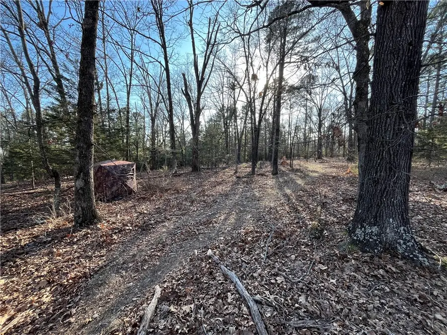 001-03605-002 Tbd Highway 21 South, Huntsville, AR 72740 - Image #2