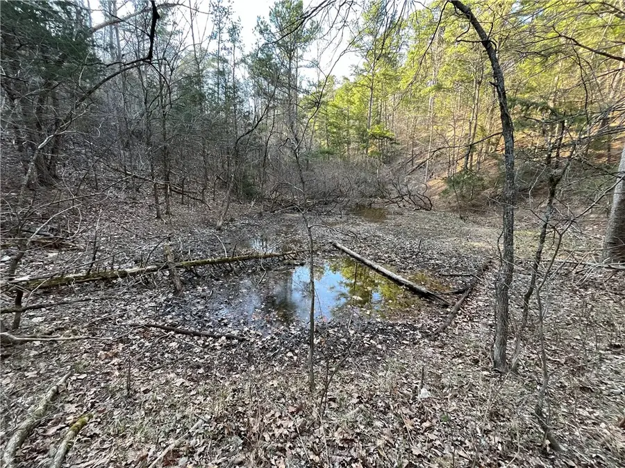 001-03605-002 Tbd Highway 21 South, Huntsville, AR 72740 - Image #3