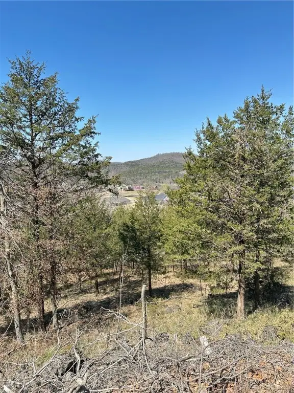 9 Quailrun Lane, Holiday Island, AR 72631 - Image #1