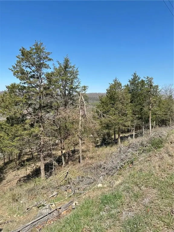 9 Quailrun Lane, Holiday Island, AR 72631 - Image #3