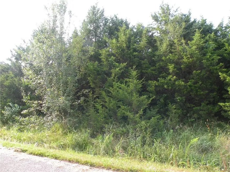 6 Clover Lane #10, Holiday Island, AR 72631 - Image #2