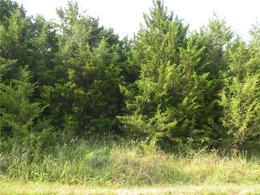 6 Clover Lane #10, Holiday Island, AR 72631 - Image #3