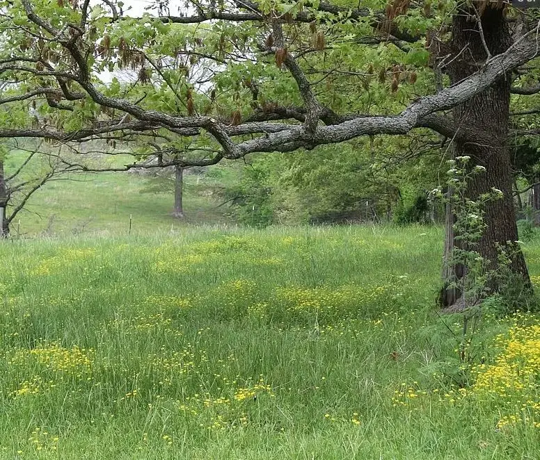 2482 Rocky Comfort Road, Gentry, AR 72734 - Image #1