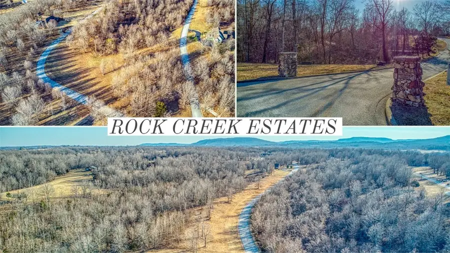 1567 Goff (lot 28) Road, Harrison, AR 72601 - Image #3