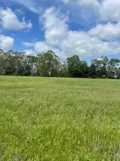 2 Check's Corner Road, Sulphur Springs, AR 72768 - Image #3