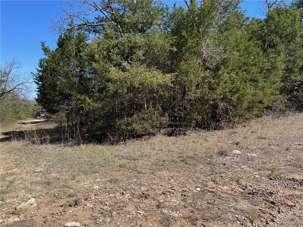 Lot 23 Elm Street, Diamond City, AR 72644 - Image #1