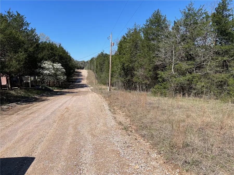 Lot 23 Elm Street, Diamond City, AR 72644 - Image #3