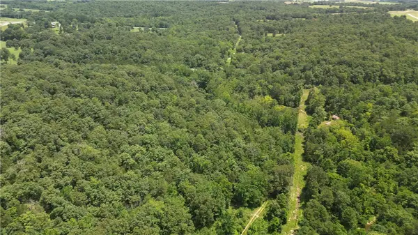 881 Driftwood Drive, Pineville, AR 72566