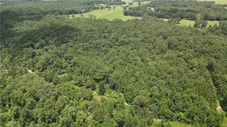 881 Driftwood Drive, Pineville, AR 72566 - #3