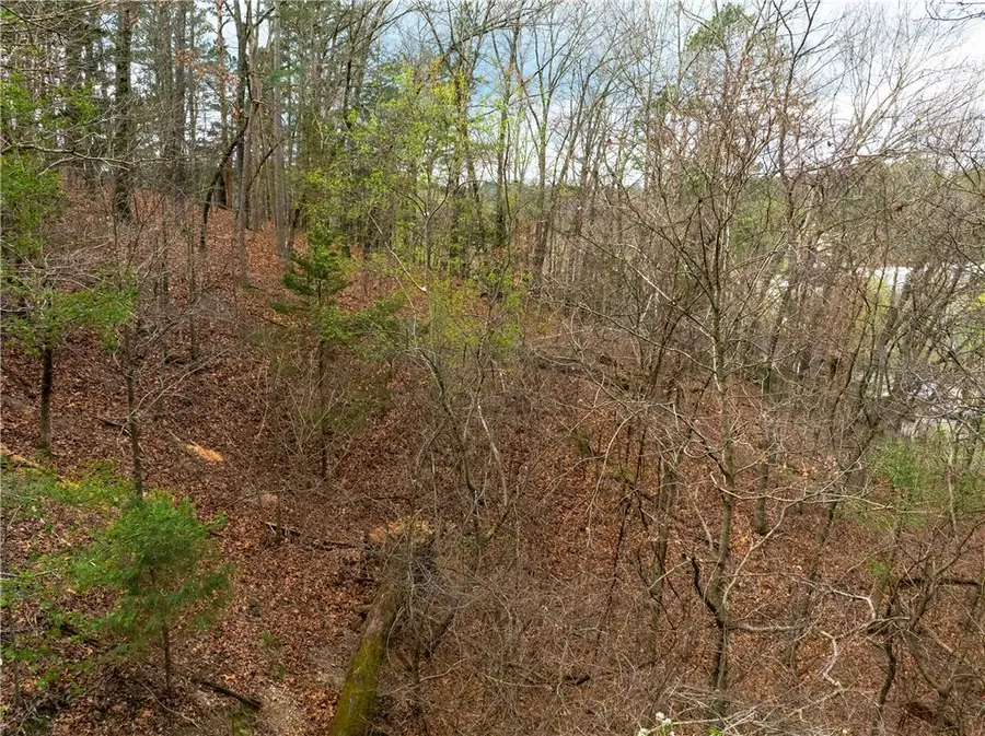 Carroll Avenue, Eureka Springs, AR 72632 - Image #2