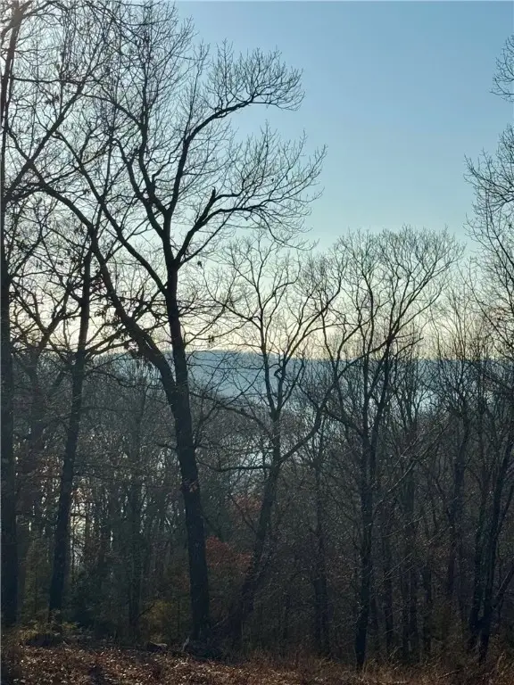 TBD 1 Cobbleston Lane, Eureka Springs, AR 72631 - Image #3