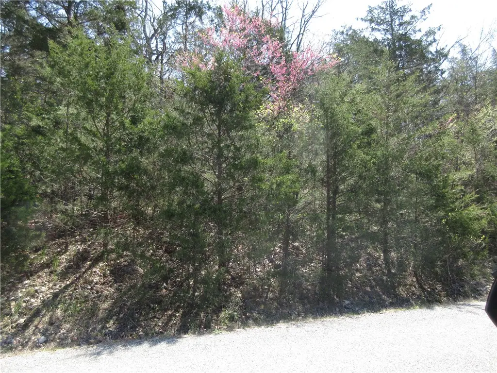 Lot 6, Hillside Drive, Holiday Island, AR 72631 - Image #1
