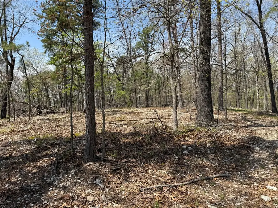 TBD Cr 1027, Eureka Springs, AR 72632 - Image #3