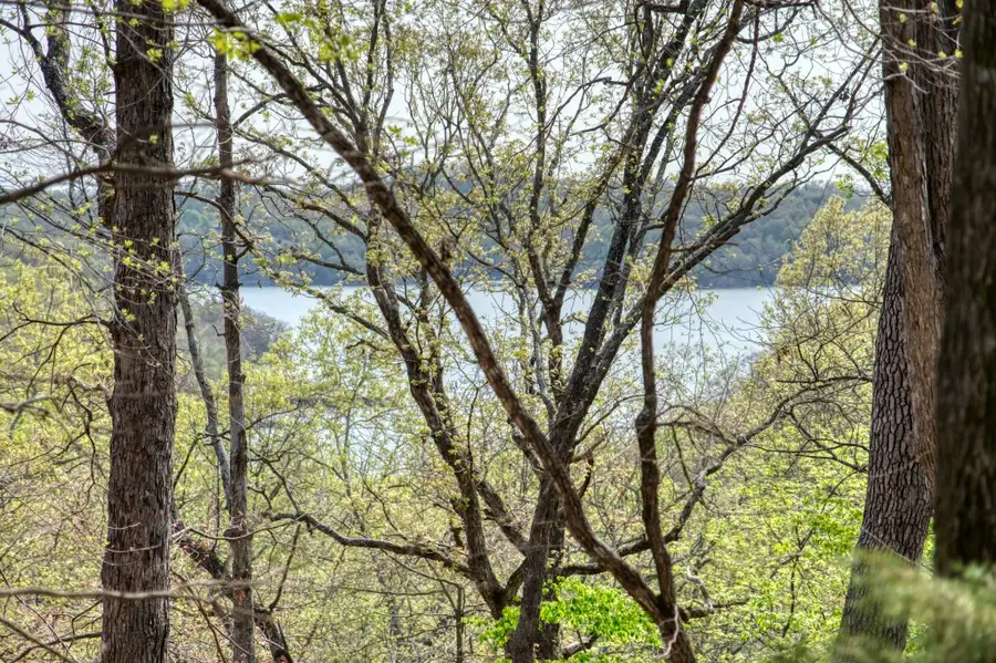 Mundell Road, Eureka Springs, AR 72631 - #2