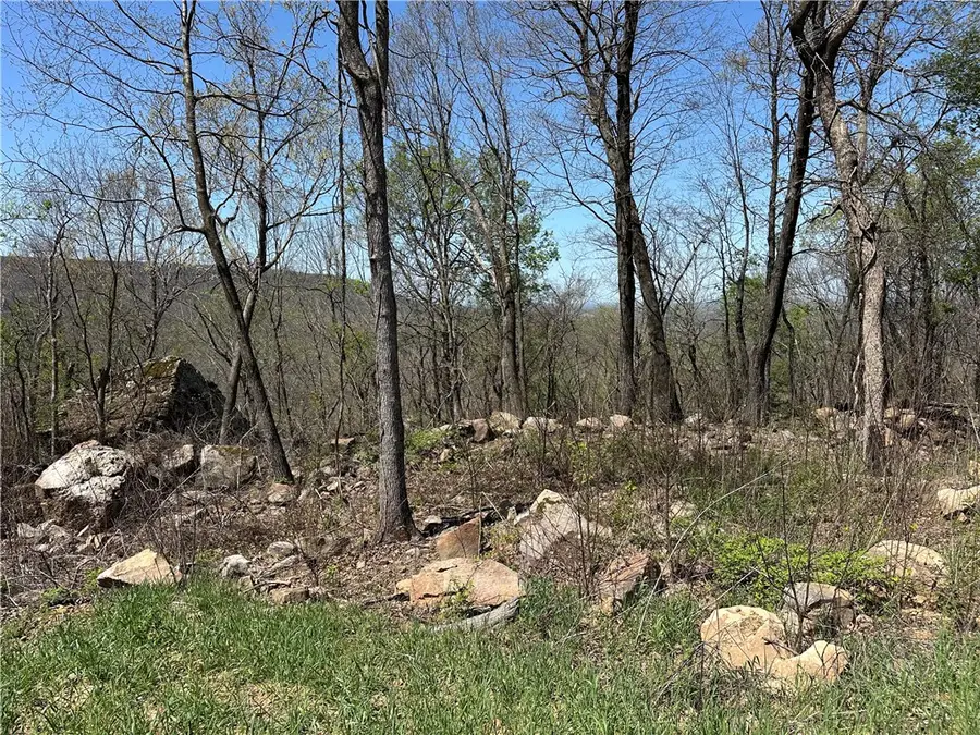 Lot 40 Peaceful Place, Harrison, AR 72601 - Image #2