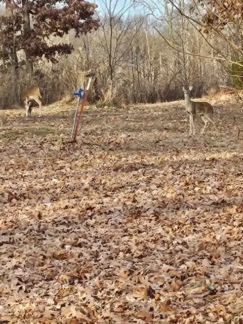 21722 Sibley Road, Sulphur Springs, AR 72768 - Image #2